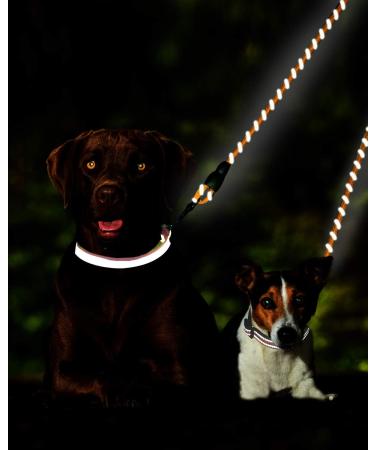 Taglory Double Linen for Dogs - Reflective Climbing Rope Adjustable Safety Leash (75cm Orange) - Perfect for 2 Dogs | International Shipping Available - Buy Online on GoSupps.com