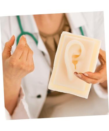 Beavorty Ear Presentation Model - Silicone Ear Mold for Hearing Aid Display & Teaching - International Shipping Available - Buy Online on GoSupps.com