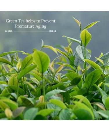 Blue Nectar Green Tea Face Moisturizer - Best Hydrating Cream for Oily & Acne Prone Skin | Hyaluronic Acid Vitamin C & 14 Ayurvedic Herbs - Buy Online on GoSupps.com