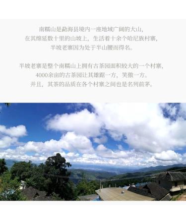 2019 Chen Sheng Hao Nannuo Big Tree Raw Pu-erh Tea Cake 357g from Yunnan - Buy Online on GoSupps.com