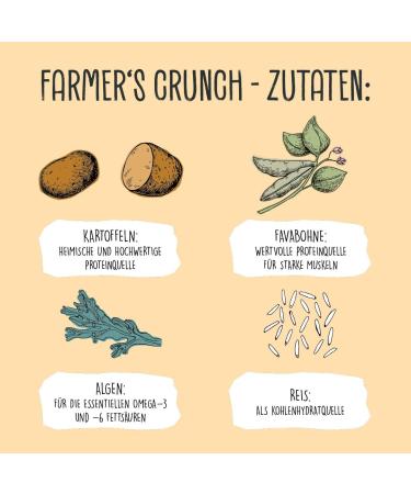 VEGDOG Farmer's Crunch Vegan dry food for adult dogs with potato and fawa beans complete grain-free food for allergy sufferers with alternative source of - Buy Online on GoSupps.com