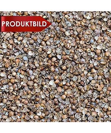 Coriander Seeds - Excreted Coriander Seeds - Reduced Seeds - Premium Quality from Bulgaria - 250g Bag - Buy Online on GoSupps.com