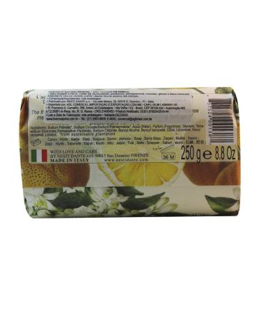 Buy Saponeria Nesti Firenze Capri Perfumed Natural Soap - Dolce Vivere 8.8oz (Pack of 3) | Italian Import | International Shipping - Buy Online on GoSupps.com