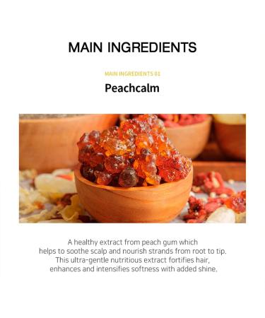 RNW Der. Hair Care Color Protecting Treatment 200ml | Nourishing Repair Therapy for Dyed & Damaged Hair | Korean Hair Care Solution - Buy Online on GoSupps.com