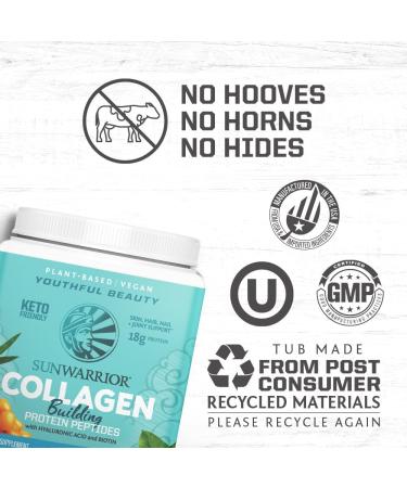 Organic Greens Probiotic Powder & Vegan Collagen Protein Powder Set | Bundle & Save | Non-GMO No Added Sugar Soy or Dairy (20 Servings Vegan Collagen Booster 45 Servings Greens) - Buy Online on GoSupps.com