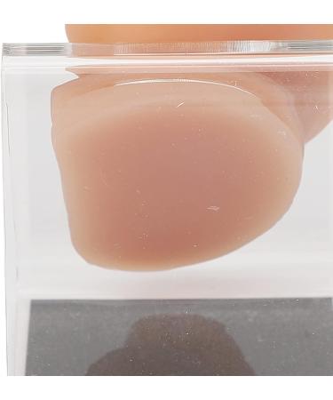 Silicone Ear Model for Acupuncture - Soft Practice Tool with Display Stand | Ideal for Piercing & Display | International Shipping Available - Buy Online on GoSupps.com