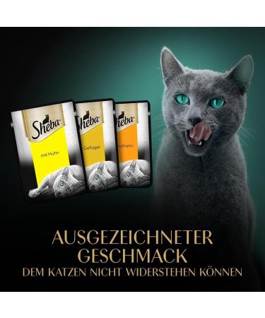 Sheba Fresh & Fine Sauce Premium Cat Wet Food Multipack (75 x 50g) Chicken Poultry & Turkey High-Quality International Shipping - Buy Online on GoSupps.com