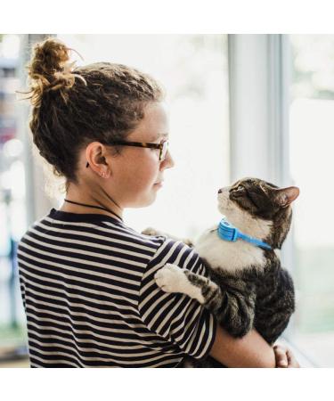 Paipaitek Cat Shock Collar - Sound, Vibrate, Shock Modes for Cats & Kittens - Waterproof & Rechargeable Blue - Buy Online on GoSupps.com