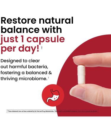 Ombre 3-in-1 Probiotic Prebiotic and Postbiotic for Digestive Health & Gut Health - 45 Billion CFU - Bloating Constipation & Gas Relief - Metabolic & Immune Support for Women & Men 30 Day Supply - Buy Online on GoSupps.com