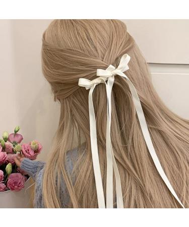 10 Pcs Long Ligaments Hair Loop Clips - Stylish Satin Hair Accessories for Women & Girls - Buy Online on GoSupps.com