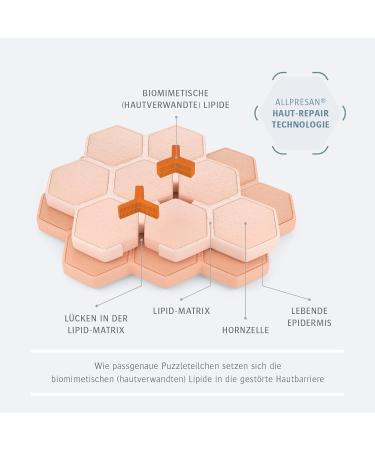 nsc pharma Co KG Allpresan Derma med Repair Foam Cream HYDRO intensive care for very dry rough skin 200 ml - Buy Online on GoSupps.com