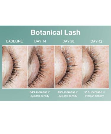 Contours Rx Botanical Lash & Brow Enhancing Serum Organic, Drug-Free Growth Formula with Peptides & Botanicals Strengthens, Hydrates & Nourishes 5ml - Buy Online on GoSupps.com