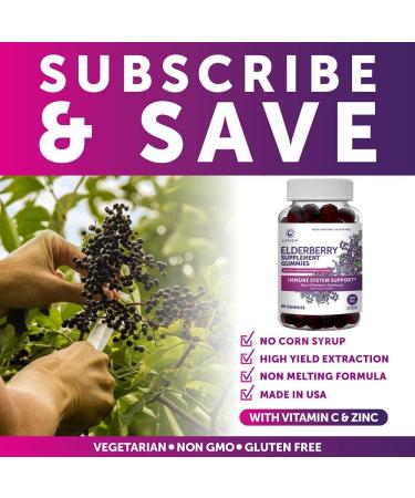 Sambucus Elderberry Gummies with Zinc & Vitamin C - Immune Support Supplement for Adults & Kids - Vegan & Organic - 60 Gummies - Buy Online on GoSupps.com