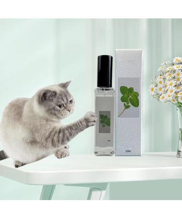 Herbal Cat Joy Spray - Natural Catnip & Behavior Solution for Cats & Kittens | Celery Pets - Buy Online on GoSupps.com