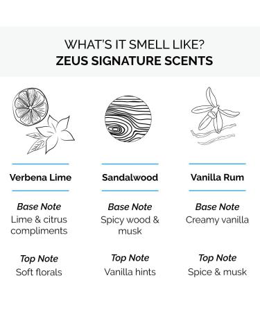 ZEUS Sandalwood Beard Conditioner Wash - 8 oz - Made in USA with Green Tea & Natural Ingredients for Cleansing and Softening - Buy Online on GoSupps.com