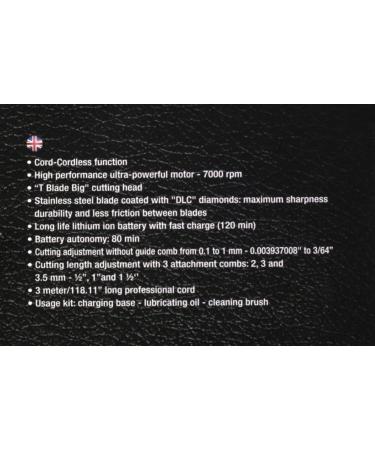 GA.MA Italy Professional GAMA Absolute Action T-Blade Outliner Trimmer | Cord & Cordless Hair Clippers for Barbers - Buy Online on GoSupps.com