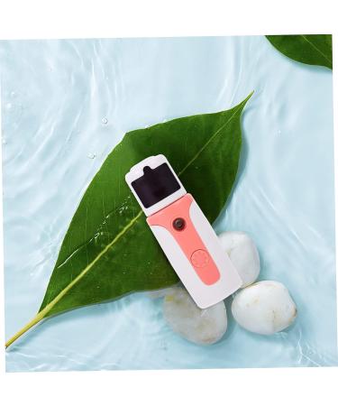 Beavorty 2 Sets Hydrating instrument portable steamer nano facial mister mini humidifier facial steamers 10X3.3cmx2pcs Pinkx2pcs - Buy Online on GoSupps.com