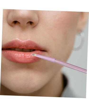 DOITOOL 5 Pcs Horsehair Eyeshadow Brush Flat Makeup Brush Flat Eyeshadow Brush Makeup Brush for Girls Tool - Buy Online on GoSupps.com