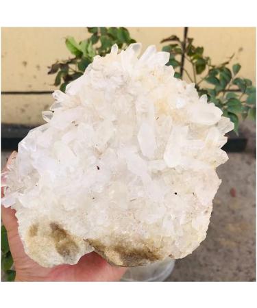 Natural Crystal Rough Natural Rough Quartz Cluster Crystal Stone (Color : 1pc 250g-370g) - Buy Online on GoSupps.com
