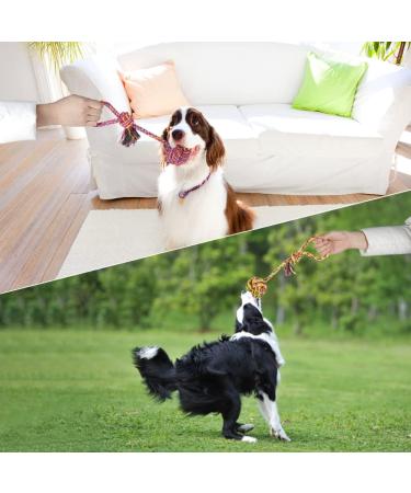 Vivifying Dog Rope Toys Pack of 2 Interactive Braided Cotton Pet Chew Rope Toys for Dog Teeth Cleaning 2 PCS Dog Rope Toy With Ball - Buy Online on GoSupps.com