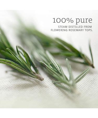 NOW Rosemary Essential Oil 2oz - 100% Pure & Natural Aromatherapy Oil - Buy Online on GoSupps.com