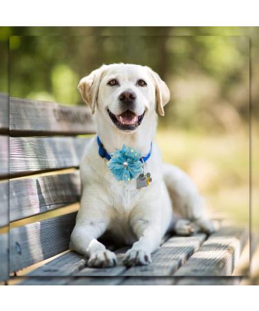 BIPY 16PCS Dog Collar Flowers and Bows Fake Pearls Rhinestone Collar Charms Slides for Dogs Cats Puppy Small Medium Dog Spring Summer Wedding Birthday Party Grooming Accessories Blue - Buy Online on GoSupps.com