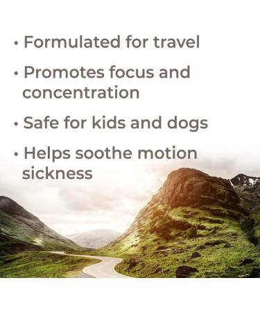 Plant Therapy Travel Essential Oil Blend 10 mL | 100% Pure Aromatherapy - Natural & Undiluted - Buy Online on GoSupps.com