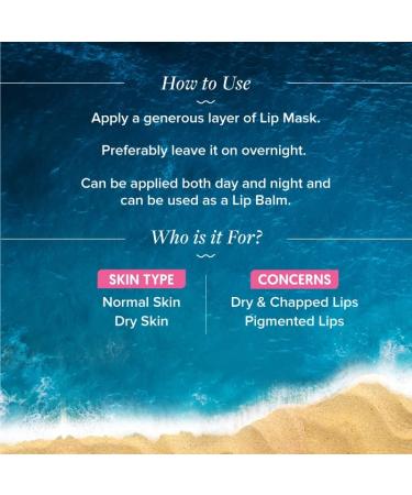 Falak Radiance+ Plump Lip Mask - Hydrating Watermelon & Shea Butter Lip Balm for Chapped Lips | 15g - Buy Online on GoSupps.com