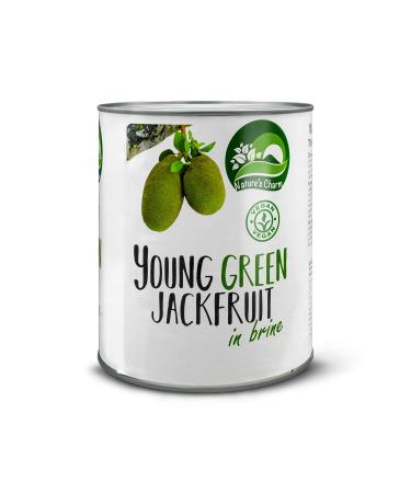 Nature's charm Young Green Jackfruit in Lake - Salzig pickled vegan delicacy - ideal for salads curries and soups - 1 x 2900 g