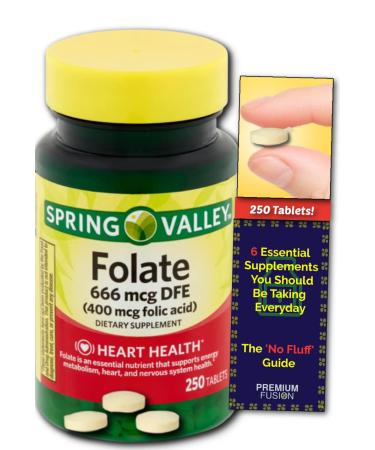 Folate 666 mcg DFE (Vitamin B9) - 400 mcg Folic Acid - 250 Day Supply of Tablets - from Spring Valley + Vitamin Pouch and Guide to Supplements