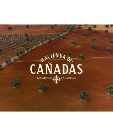 ROMANCES de Moral | Extra Virgin Olive Oil (Arbequina Variety 500ml.) | Best Premium EVOO from Calatrava | Luxury gourmet EVOO from arbequina olives | Direct sale and limited production Arbequina 500ml. - Buy Online on GoSupps.com