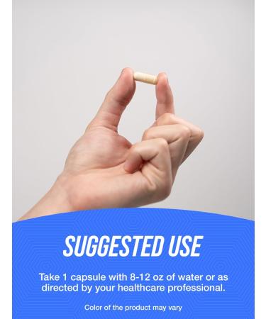 BulkSupplements.com Pyridoxal 5 Phosphate Capsules - P5P Supplement Vitamin B6 Supplement - Essential & Gluten Free 1 Capsule per Serving 50mg Serving 500 Count (Pack of 1) - Buy Online on GoSupps.com