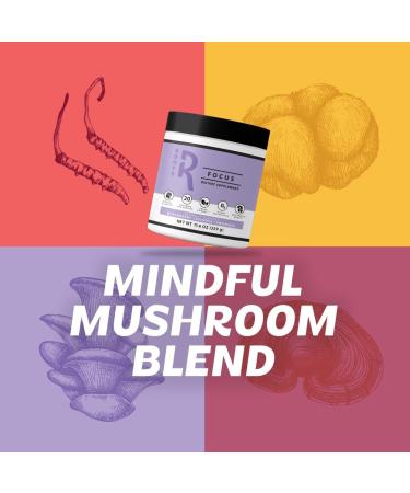 Roots Focus Nootropic Brain Supplement - Fruit Punch | Lion's Mane Cordyceps & Reishi Mushrooms + Extended-Release Caffeine - 50 Servings - Buy Online on GoSupps.com