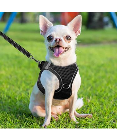 Joyal Dog Harness | Reflective Soft Padded Air-Mesh for XS Puppies & Small Dogs | Comfortable & Adjustable Black Design (34-38cm) - Buy Online on GoSupps.com