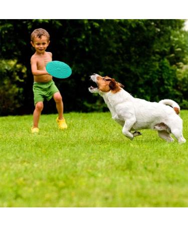 Ouoqi Dog Toys Frisbee - 2 Piece Rubber Frisbee Disc for Small Dogs | Perfect for Land & Water Play Training & Catching - Buy Online on GoSupps.com
