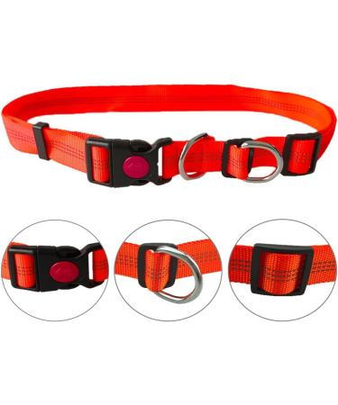 Aiqeer Orange Hands Free Dog Leash Adjustable Waist Belt and Retractable Bungee Leash Jogging Dog Leash with Reflective Stitching (Grey Handle) - Buy Online on GoSupps.com