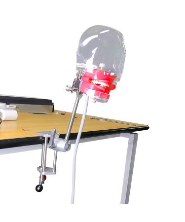 Dental Simulator Manikin Phantom Head Model with Bench Mount - Educational Teeth Model for Dental Training (Table Type) - Buy Online on GoSupps.com