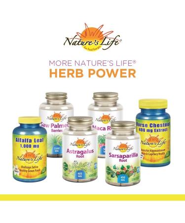 ZAND Nature's Life Nettle Root Power 450mg | Prostate & Urinary Health for Men | Non-GMO | 60 Veg Caps - Buy Online on GoSupps.com