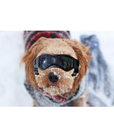 UV Protection Sunglasses for Small Dogs | Cool Black Dog Glasses | Outdoor Eye Protection for Small Breeds - Buy Online on GoSupps.com