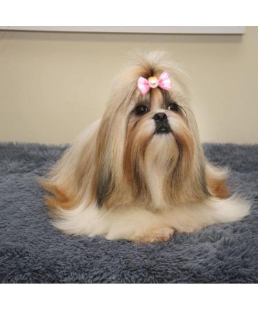 50 Dog Hair Accessories - Pet Hair Clips & Bows for Small Dogs Cats & Puppies - Random Colors - Buy Online on GoSupps.com