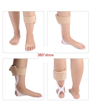 Adjustable Foot Drop Orthosis Brace Support Effective Ankle Correction Splint | Lightweight & Comfortable | Available in 2 Sizes (Left M: 39-45 Yards - Buy Online on GoSupps.com