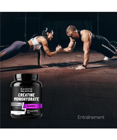 Bandini Cr atine Monohydrate en Poudre 500 g - 147 portions - 100% Pure Creatine micronis e - Solubilit optimale Non aromatis - Id al pour Entra nement Sport Fitness - Doseur inclus - Vegan - Buy Online on GoSupps.com