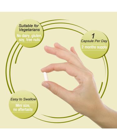 Ascuoli Probiotics for Women & Men - 300 Billion CFU 24 Strains Probiotics + 15 Organic Herbs Blend Daily Probiotic for Digestive Health Immune Gut Bloating - 60 Capsule 60 Count (Pack of 1) - Buy Online on GoSupps.com