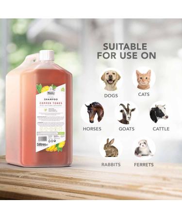 Buy WAHL Copper Tones Pet Shampoo - International Shipping Available | Premium Pet Care - Buy Online on GoSupps.com