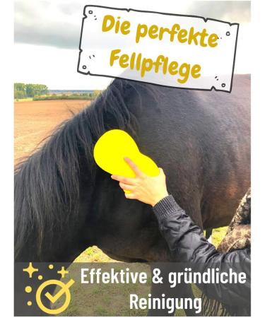 All-Purpose Horse Sponge for Cleaning & Care | Antibacterial Durable Elastic - Ideal for Stables & Household - Buy Online on GoSupps.com