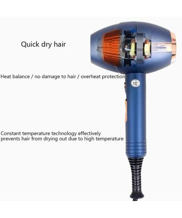 Hairdryer Professional Ionic Hair Dryer 2000W Powerful AC Motor Salon Fast Blow Dryers 3 Heat 2 Speed Settings Low Noise Hair Dryer with Hair Diffusers and 2 Nozzle for Home and Salon Blue Small Gift Brown - Buy Online on GoSupps.com