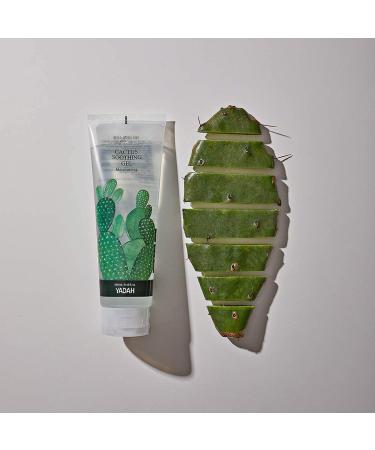 Yadah Cactus Soothing Gel 3.7 fl oz - Vegan Cooling Moisturizer with 95% Cactus Extract - Buy Online on GoSupps.com