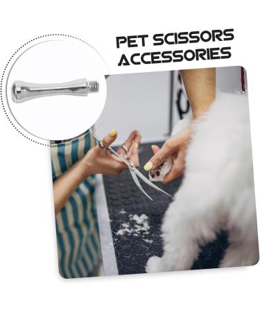 Toddmomy 6pcs Stainless Steel Tail Nails for Scissors | Decorative Nail Clippers & Pet Replacement Parts - Durable & Stylish - Buy Online on GoSupps.com