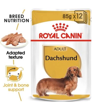 Royal Canin Dachshund Adult Mousse | 12 x 85 g | Complete Food for Dogs | for Adult Dachshunds | May Help Protect Bones and Joints - Buy Online on GoSupps.com