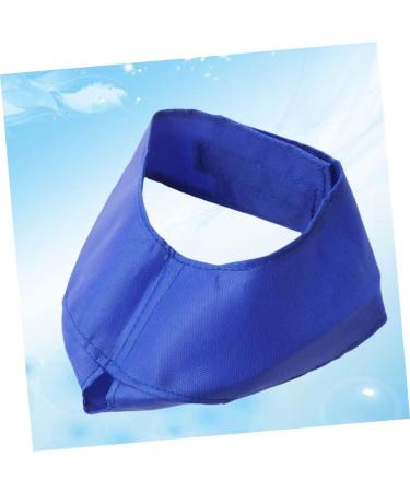 Shop Minkissy Fish Shells Dog Sweater & Glasses | Puppy Eye Flap & Cat Eye Mask - Blue Pet Apparel for Pets with Blindness - Buy Online on GoSupps.com